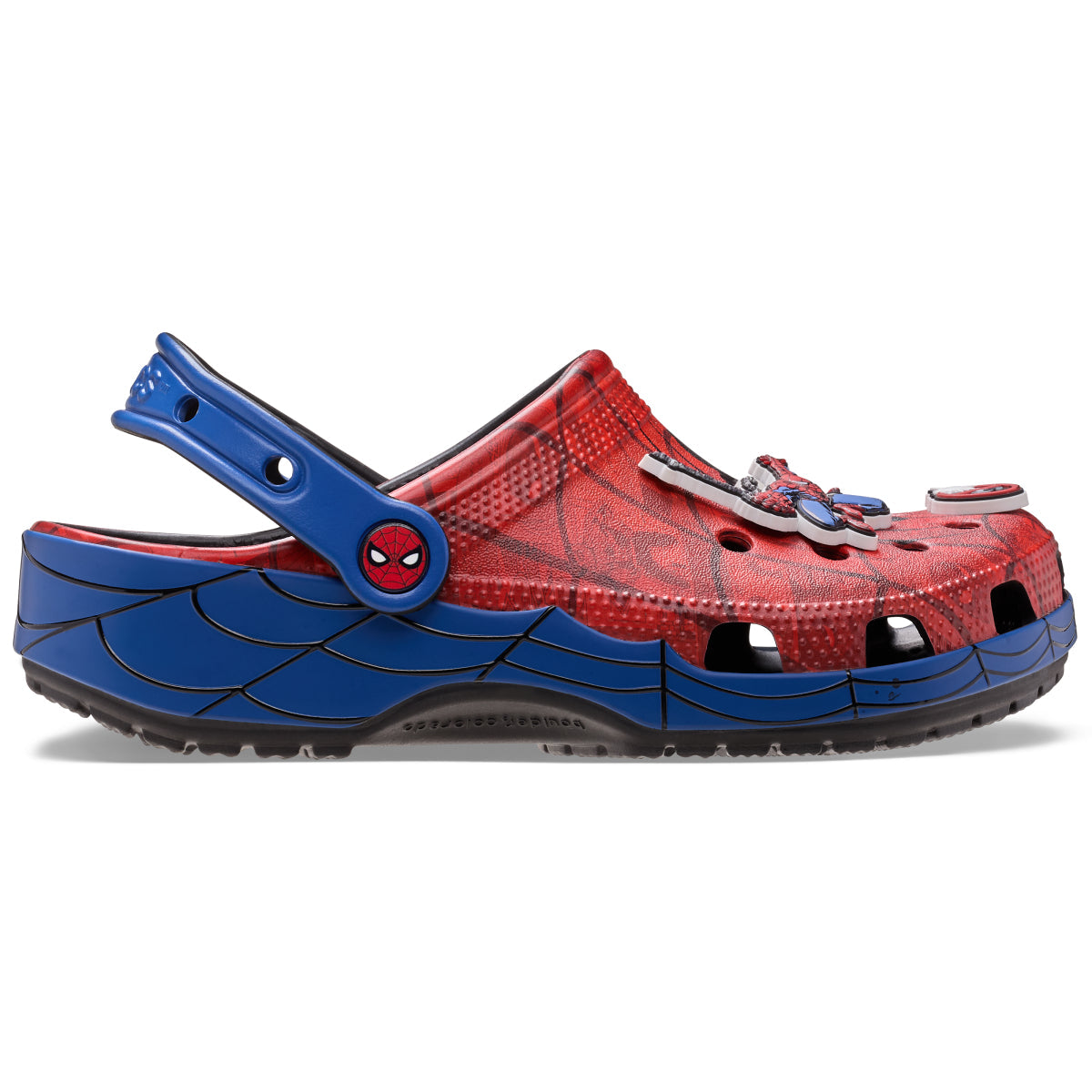 SpiderWebClClgK - Çok Renkli